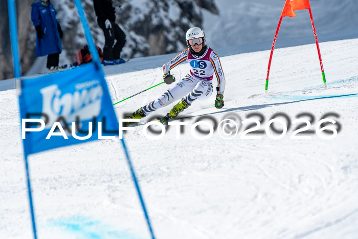 NC RS ,Frauen + Männer Axamer Lizum 28.03.2026