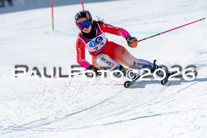 NC RS ,Frauen + Männer Axamer Lizum 28.03.2026