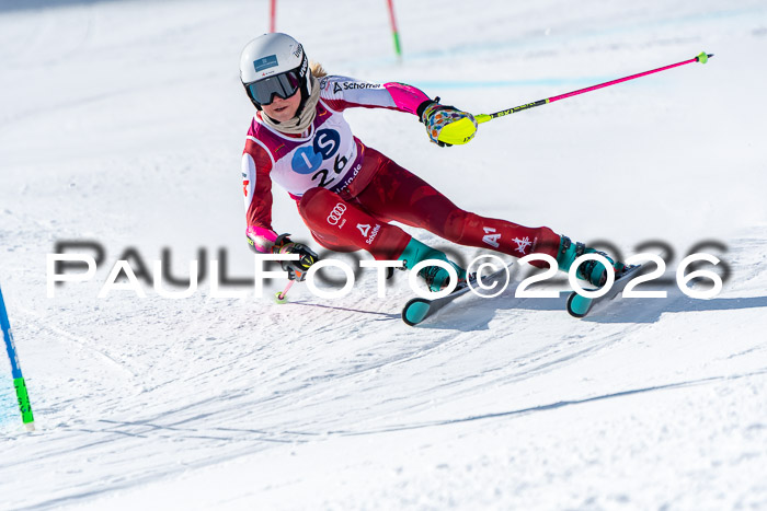 NC RS ,Frauen + Männer Axamer Lizum 28.03.2026