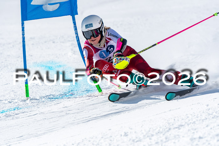 NC RS ,Frauen + Männer Axamer Lizum 28.03.2026