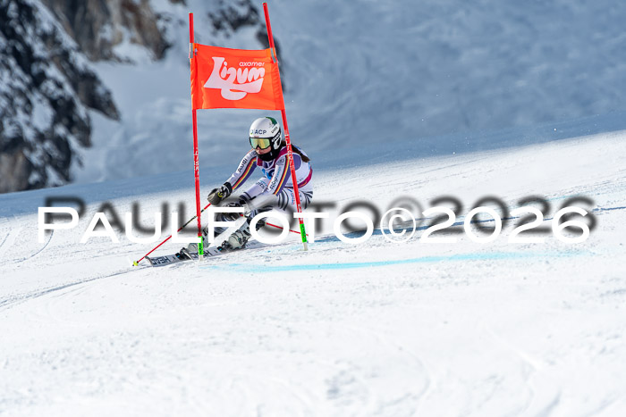 NC RS ,Frauen + Männer Axamer Lizum 28.03.2026