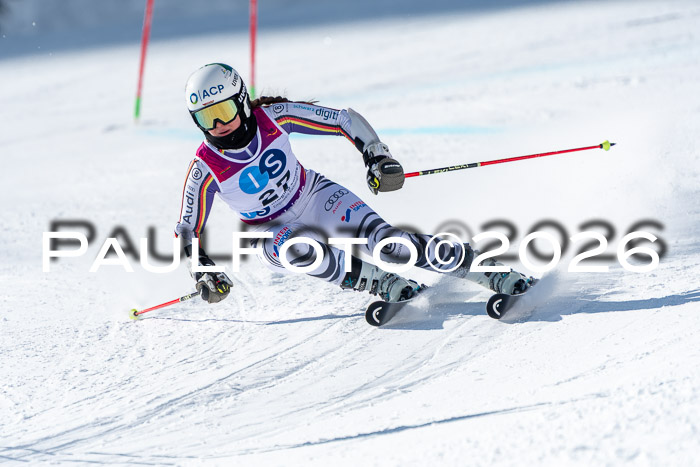 NC RS ,Frauen + Männer Axamer Lizum 28.03.2026