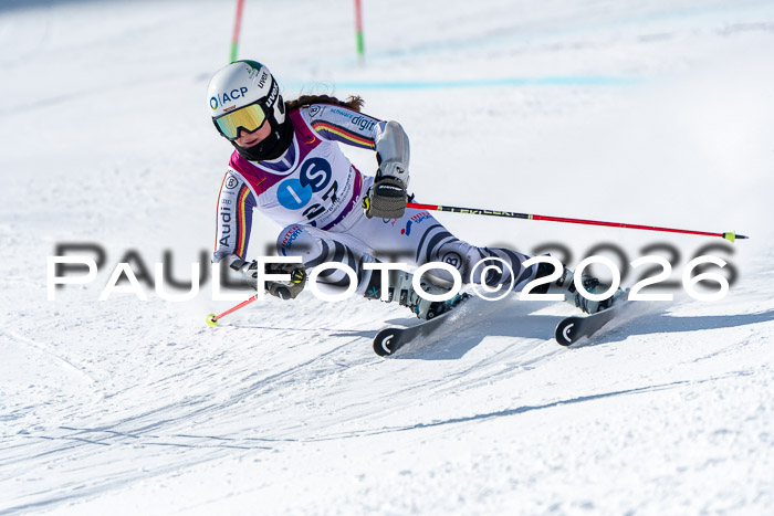 NC RS ,Frauen + Männer Axamer Lizum 28.03.2026