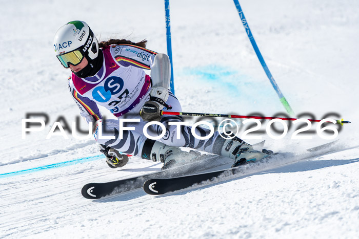 NC RS ,Frauen + Männer Axamer Lizum 28.03.2026