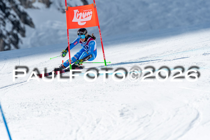 NC RS ,Frauen + Männer Axamer Lizum 28.03.2026