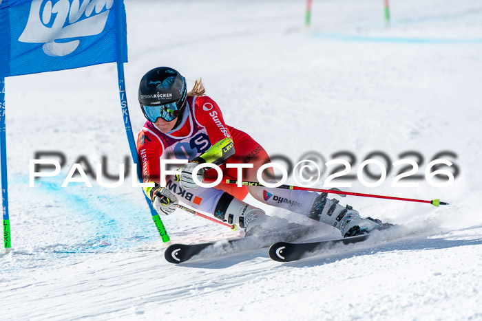 NC RS ,Frauen + Männer Axamer Lizum 28.03.2026