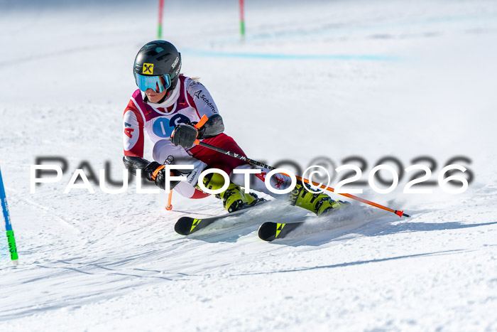 NC RS ,Frauen + Männer Axamer Lizum 28.03.2026