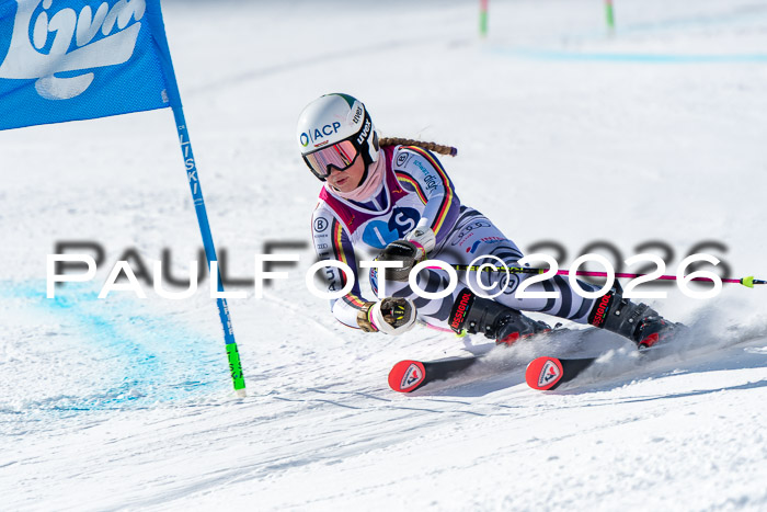 NC RS ,Frauen + Männer Axamer Lizum 28.03.2026