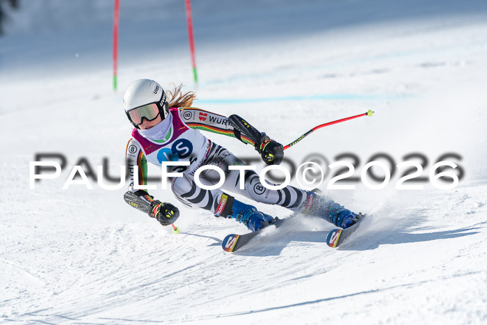 NC RS ,Frauen + Männer Axamer Lizum 28.03.2026