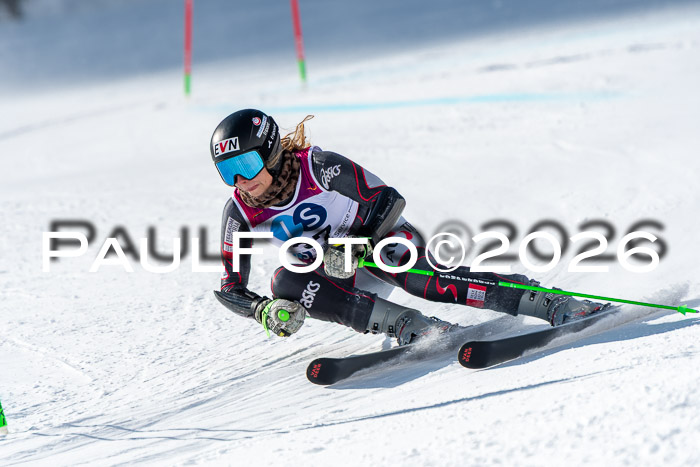 NC RS ,Frauen + Männer Axamer Lizum 28.03.2026