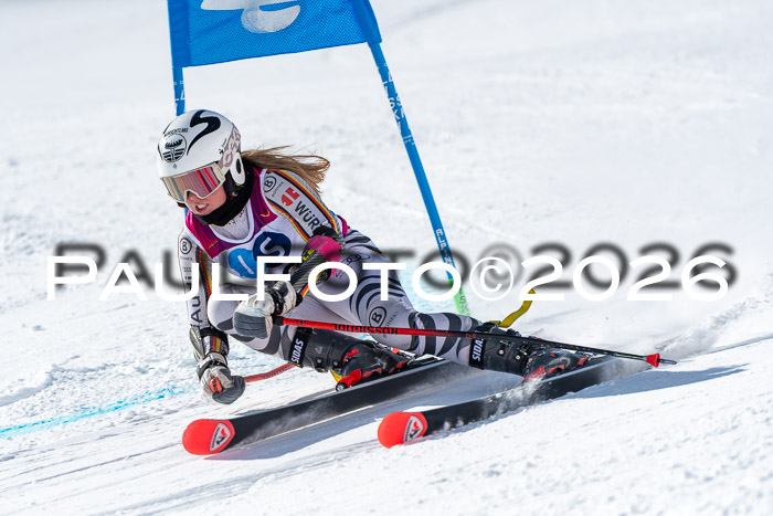 NC RS ,Frauen + Männer Axamer Lizum 28.03.2026