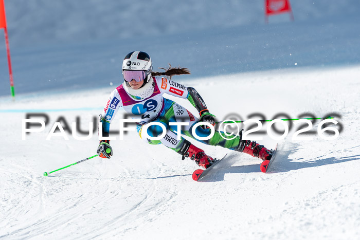 NC RS ,Frauen + Männer Axamer Lizum 28.03.2026