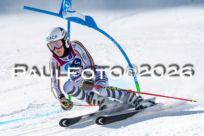 NC RS ,Frauen + Männer Axamer Lizum 28.03.2026