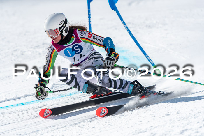 NC RS ,Frauen + Männer Axamer Lizum 28.03.2026