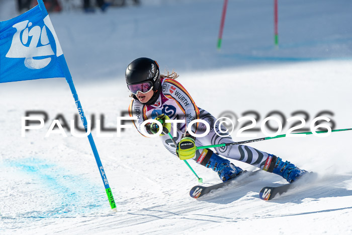 NC RS ,Frauen + Männer Axamer Lizum 28.03.2026