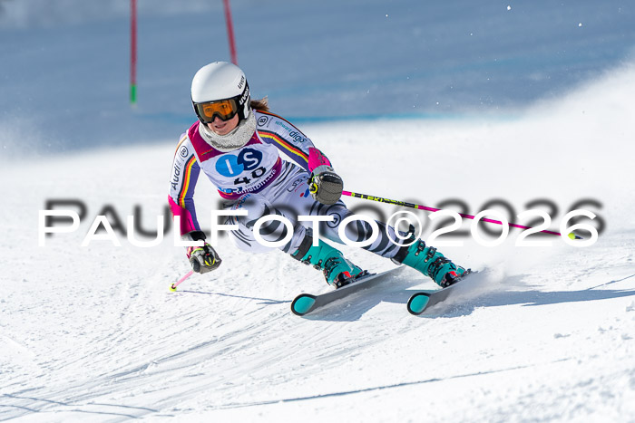 NC RS ,Frauen + Männer Axamer Lizum 28.03.2026