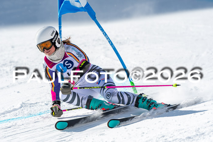 NC RS ,Frauen + Männer Axamer Lizum 28.03.2026