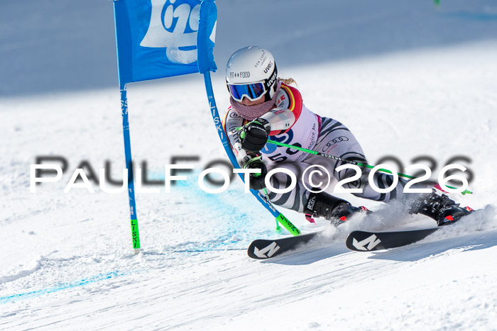 NC RS ,Frauen + Männer Axamer Lizum 28.03.2026