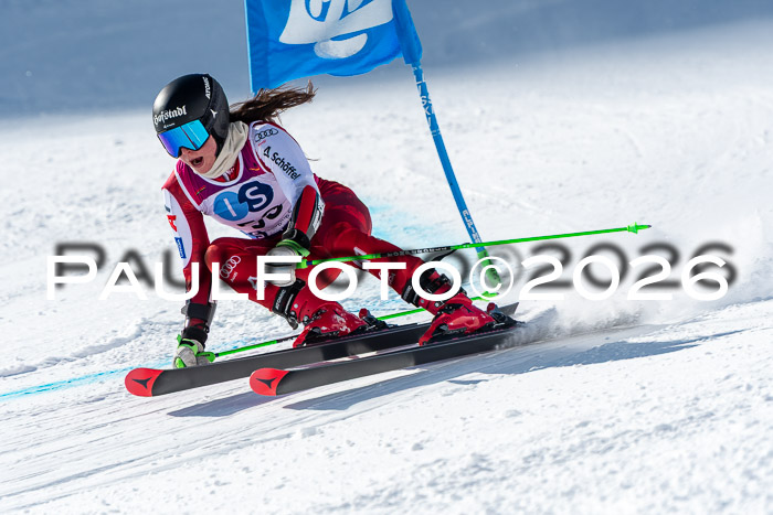 NC RS ,Frauen + Männer Axamer Lizum 28.03.2026