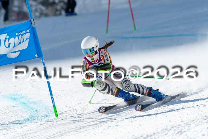 NC RS ,Frauen + Männer Axamer Lizum 28.03.2026