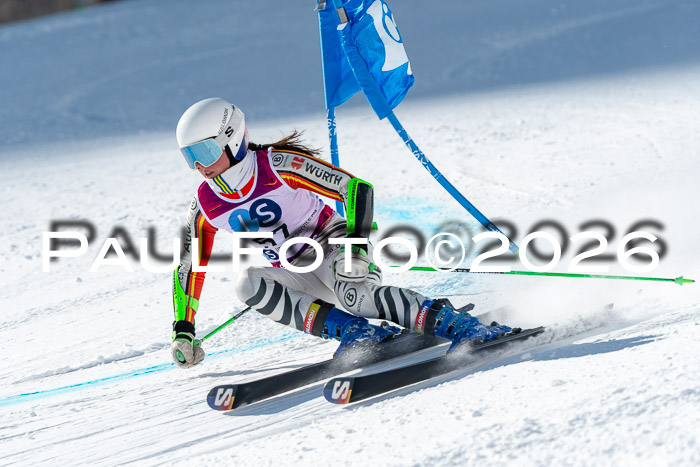 NC RS ,Frauen + Männer Axamer Lizum 28.03.2026