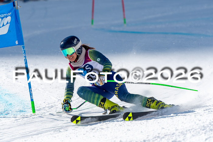 NC RS ,Frauen + Männer Axamer Lizum 28.03.2026