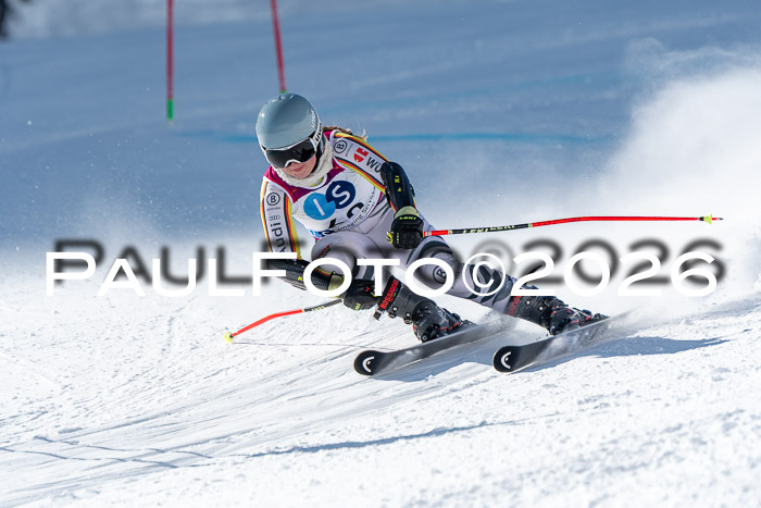 NC RS ,Frauen + Männer Axamer Lizum 28.03.2026