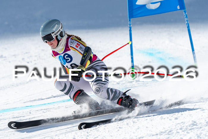 NC RS ,Frauen + Männer Axamer Lizum 28.03.2026