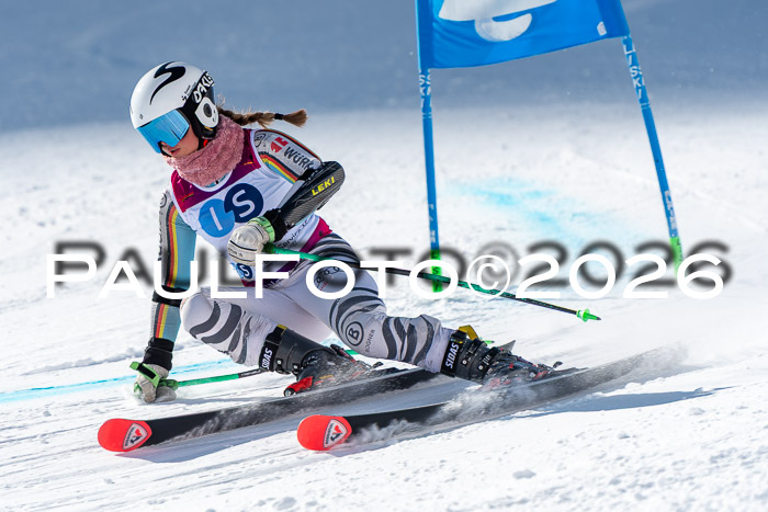 NC RS ,Frauen + Männer Axamer Lizum 28.03.2026