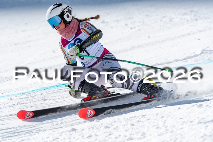 NC RS ,Frauen + Männer Axamer Lizum 28.03.2026