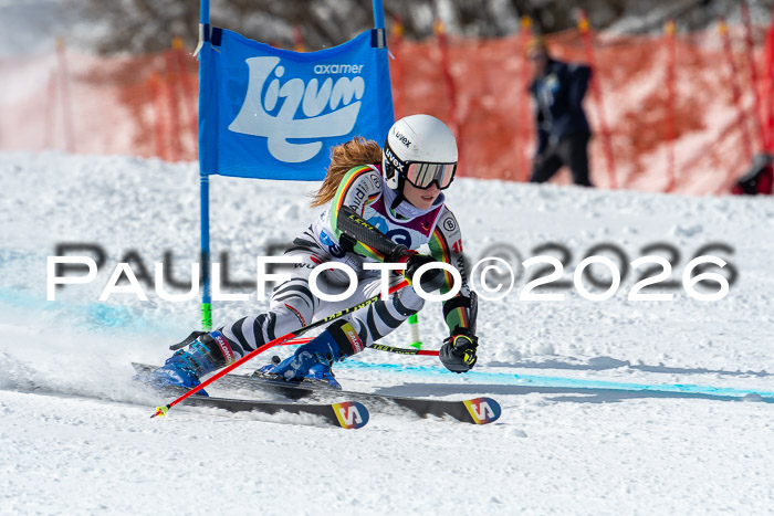 NC RS ,Frauen + Männer Axamer Lizum 28.03.2026