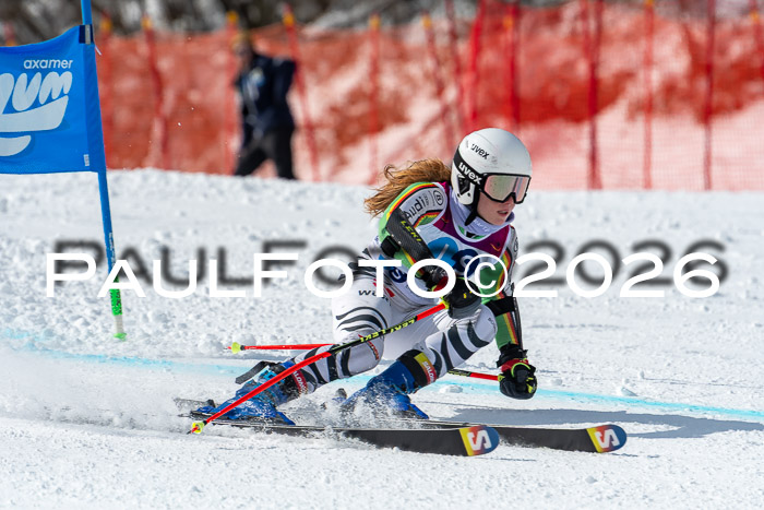 NC RS ,Frauen + Männer Axamer Lizum 28.03.2026