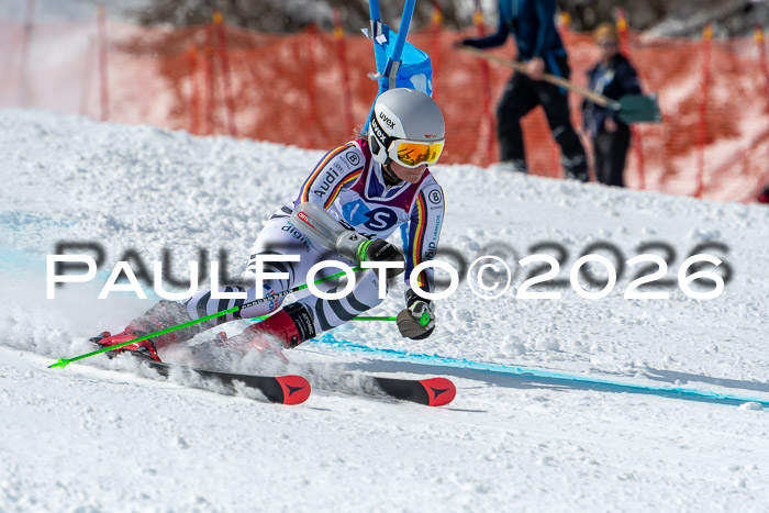 NC RS ,Frauen + Männer Axamer Lizum 28.03.2026