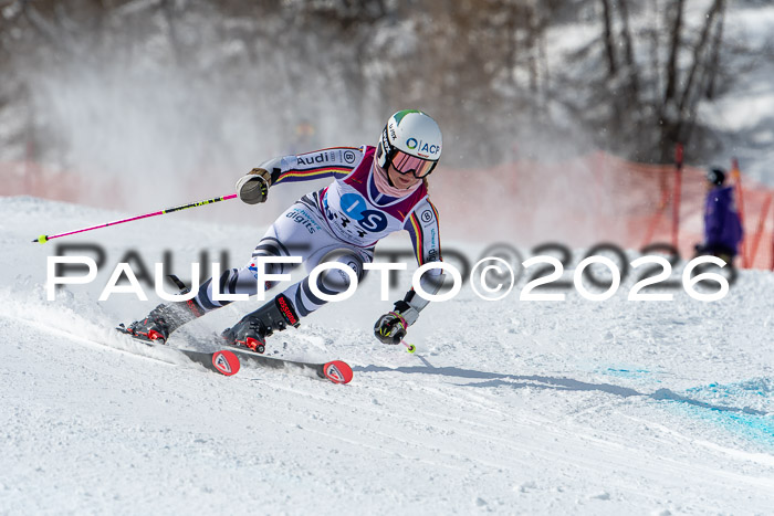 NC RS ,Frauen + Männer Axamer Lizum 28.03.2026