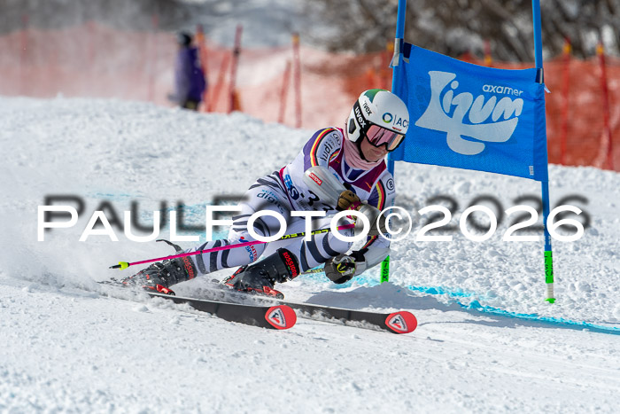 NC RS ,Frauen + Männer Axamer Lizum 28.03.2026