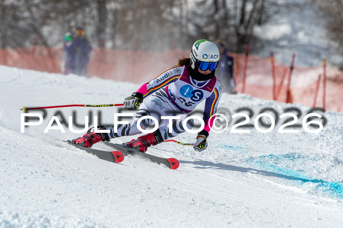 NC RS ,Frauen + Männer Axamer Lizum 28.03.2026