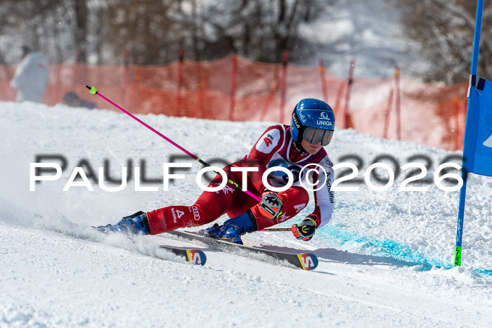 NC RS ,Frauen + Männer Axamer Lizum 28.03.2026