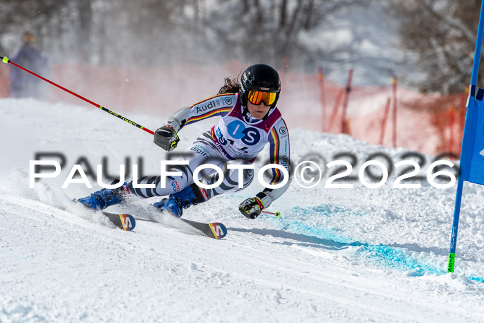 NC RS ,Frauen + Männer Axamer Lizum 28.03.2026