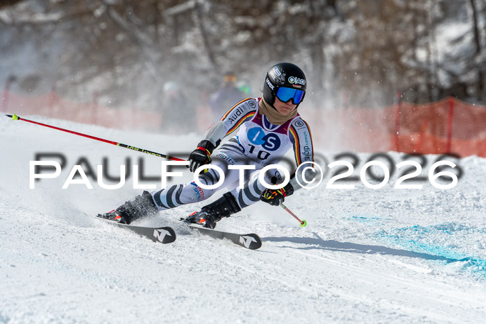 NC RS ,Frauen + Männer Axamer Lizum 28.03.2026