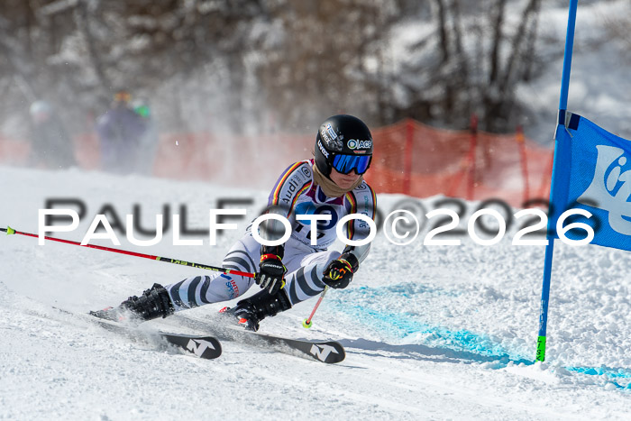 NC RS ,Frauen + Männer Axamer Lizum 28.03.2026