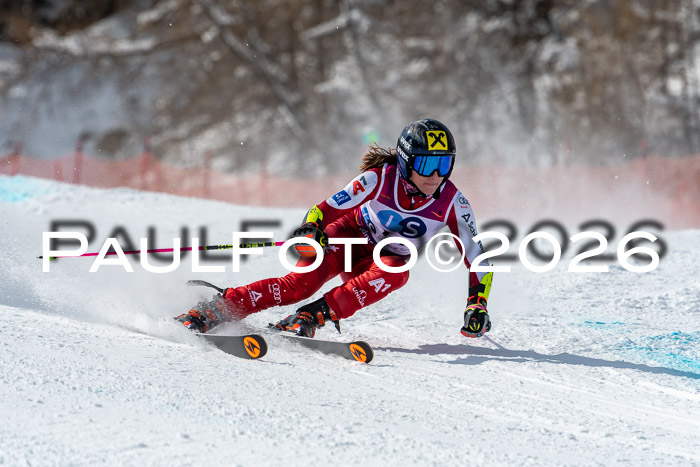 NC RS ,Frauen + Männer Axamer Lizum 28.03.2026