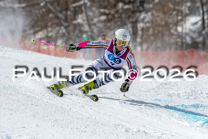 NC RS ,Frauen + Männer Axamer Lizum 28.03.2026