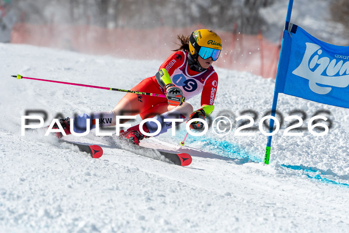 NC RS ,Frauen + Männer Axamer Lizum 28.03.2026