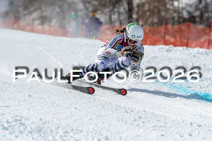 NC RS ,Frauen + Männer Axamer Lizum 28.03.2026