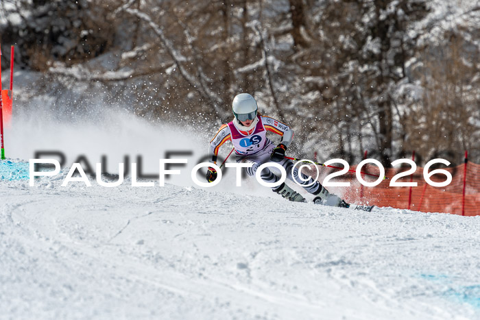 NC RS ,Frauen + Männer Axamer Lizum 28.03.2026