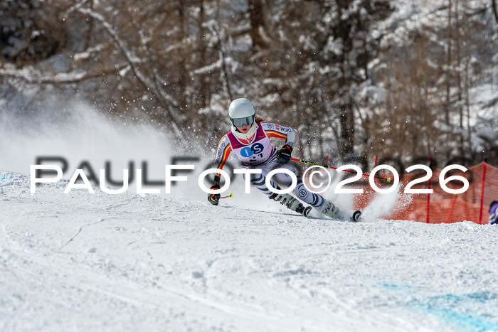 NC RS ,Frauen + Männer Axamer Lizum 28.03.2026