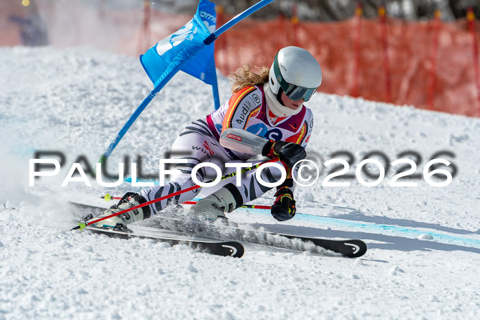 NC RS ,Frauen + Männer Axamer Lizum 28.03.2026