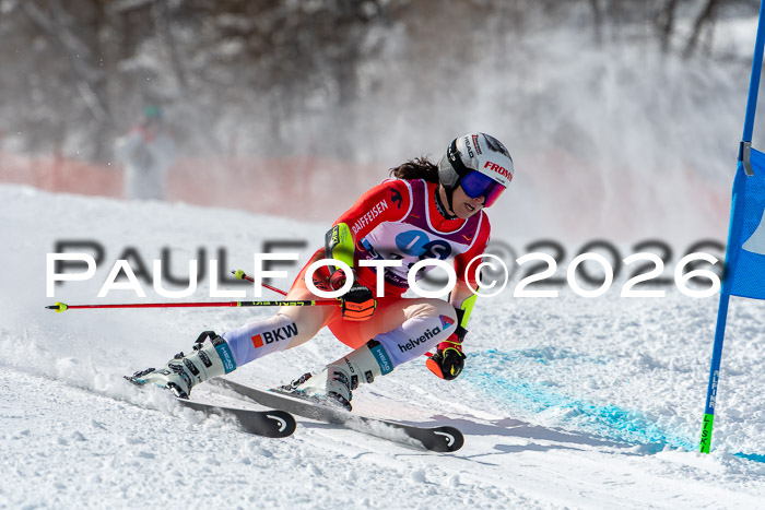 NC RS ,Frauen + Männer Axamer Lizum 28.03.2026