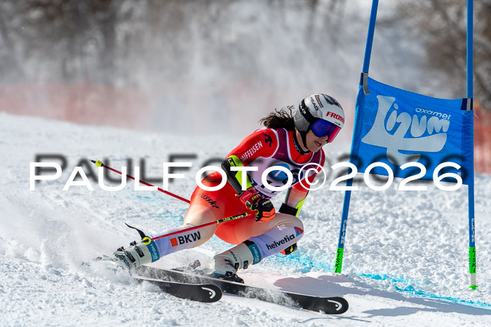 NC RS ,Frauen + Männer Axamer Lizum 28.03.2026