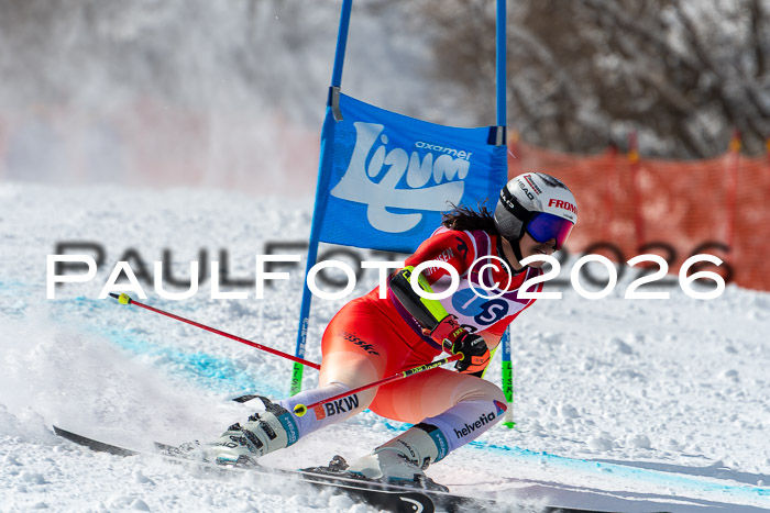 NC RS ,Frauen + Männer Axamer Lizum 28.03.2026